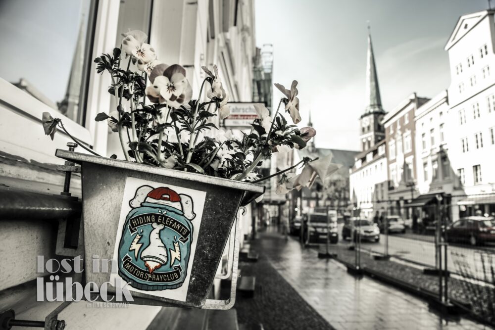 Große Burgstrasse Lübeck Blumenkasten mit Stiefmütterchen Blick die Strasse entlang